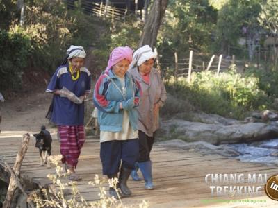 3-days/2-nights Trekking Tour | Chiang Mai Trekking | Le meilleur trekking à Chiang Mai avec Piroon Nantaya